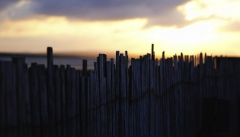 Untitled | Garazi Unzueta