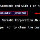 Linux有问必答：如何检查MariaDB服务端版本