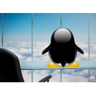 IT 运行在云端，而云运行在 Linux 上